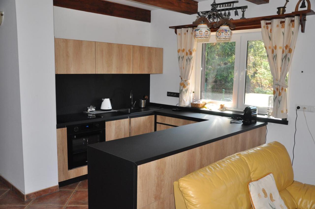 Wisla-dom Przy Rzece Holiday home